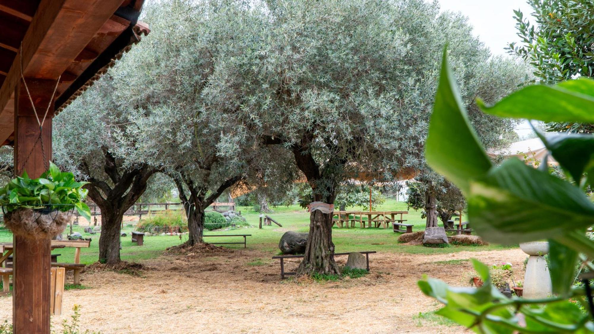 Su Leunaxiu Solèminis Dış mekan fotoğraf