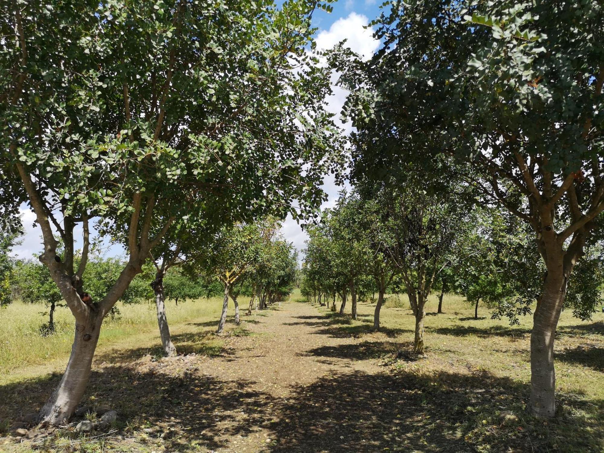 Su Leunaxiu Solèminis Dış mekan fotoğraf